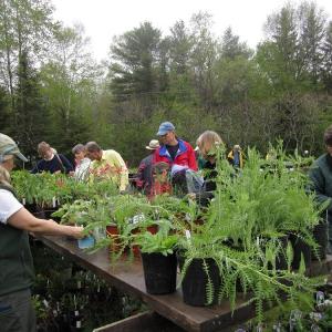 (Photo courtesy Merryspring Nature Center)
