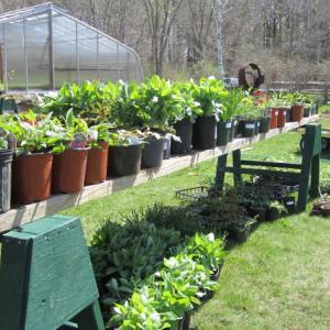 (Photo courtesy Merryspring Nature Center) (Photo courtesy Merryspring Nature Center)