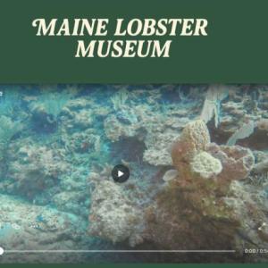 Screenshot of Maine Lobster Museum Screenshot of Maine Lobster Museum
