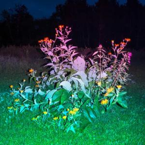 Photograph by Vincente Spadafora. (Image courtesy Rockport Public Library)