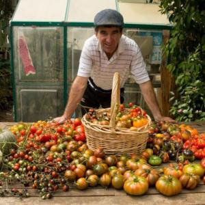 Long ago and far away, the chef at The French Laundry gave Charlie Costello a handful of tomato seeds-Move over Jack...Photo Credit: Edible East Bay