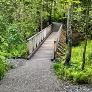 Fort Point Trail. (Photo courtesy Georges River Land Trust)