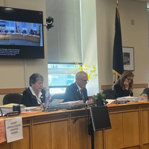 Lawmakers on the Health and Human Services committee debate a bill on increasing staffing requirements for assisted living and residential care facilities at a work session on May 16. Photo by Rose Lundy. lawmakers sitting behind a long desk.