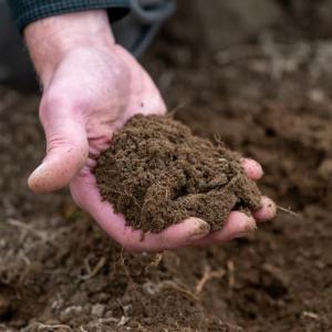 (Photo courtesy University of Maine Cooperative Extension / Edwin Remsberg)