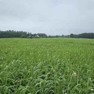 (Photo courtesy University of Maine Cooperative Extension)