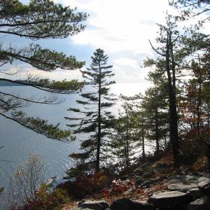 Harkness Preserve. (Photo courtesy Coastal Mountains)