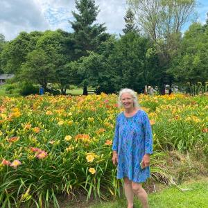 Daylily Garden at Merryspring. (Photo courtesy Merryspring Nature Center)