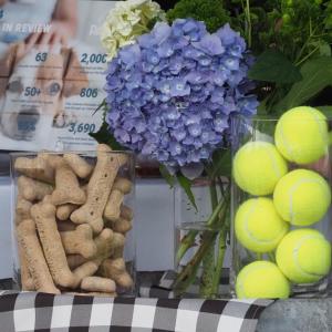 Display at entrance of the PAWS Gala. (Photo courtesy PAWS Animal Adoption Center)