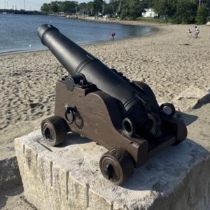 Cannon
