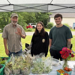 Strawberry Festival