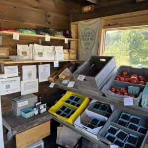 3 Bug Farm