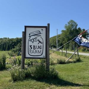 3 Bug Farm