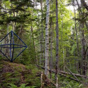 Forest Geometries installation by Gina Siepel at Georges River Land Trust's Langlais Art Preserve. (Photo by Ethan Thombs, @thombsphotography)
