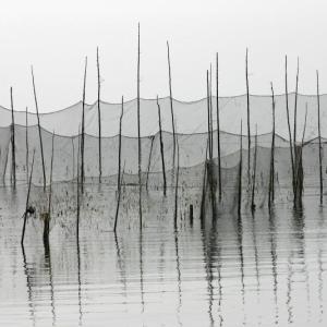 Joan Wright, Fishweir #9, 30” x 51”, archival print. (Photo courtesy Rockland Main Street)