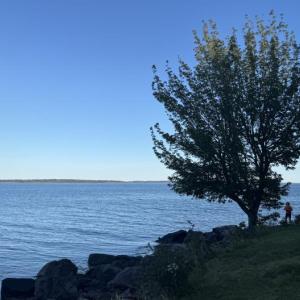 Penobscot Bay from the Lincolnville shore. (Photo by Ed O’Brien) Bay