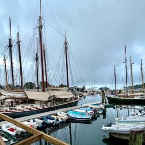 Camden Windjammer Weekend, 2025. (Photo courtesy Claudia Griffiths)