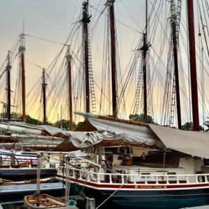 Camden Windjammer Weekend, 2025. (Photo courtesy Claudia Griffiths)
