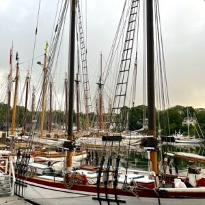 Camden Windjammer Weekend, 2025. (Photo courtesy Claudia Griffiths)