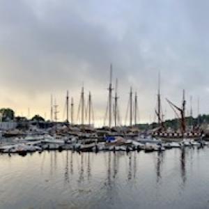 Camden Windjammer Weekend, 2025. (Photo courtesy Claudia Griffiths)