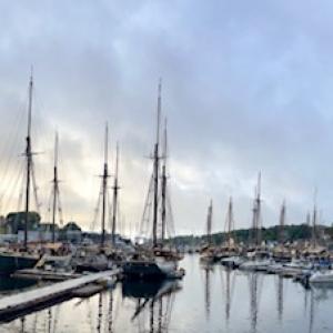 Camden Windjammer Weekend, 2025. (Photo courtesy Claudia Griffiths)