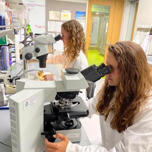 Alicyn Smart (left), director of Extension’s Plant Disease Diagnostic Lab, and Stephanie Shea, assistant diagnostician. (Photo courtesy University of Maine Cooperative Extension)
