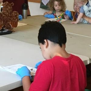 Examining owl pellet contents at Merryspring Nature Center. (Photo courtesy Merryspring Nature Center)