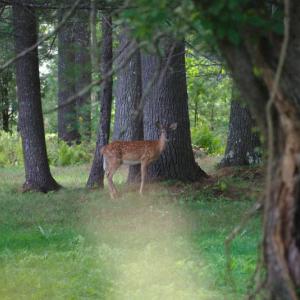 (Photo by Mike Harris) (Photo by Mike Harris)