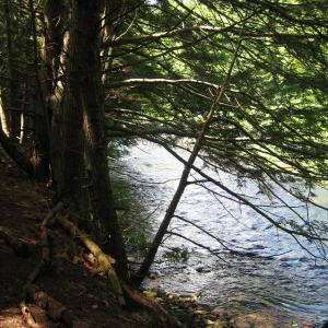 Stover Trail. (Photo by Michael Harris)