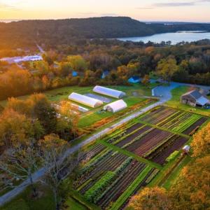 Tenderwild Farm. (Photo courtesy University of Maine Cooperative Extension and Tenderwild Farm)
