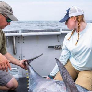 Walt Golet, (left) and Kay Zipp capture, tag and release Atlantic bluefin tuna in the Gulf of Maine for research in August 2023. Golet co-authored a recent study, led by Sammi Nadeau, that illustrated a shift in the tuna's diet and described the role of foraging in the tuna’s lifecycle. (Photo courtesy University of Maine)
