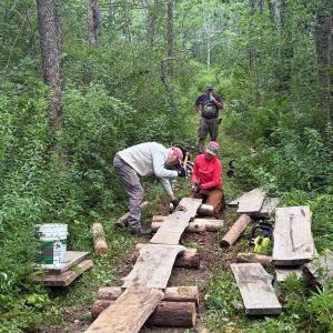 People build a trail through a wooded area. (Photo courtesy Maeve Cosgrove)