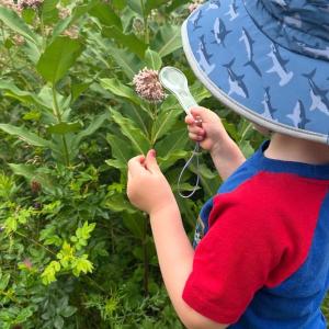 A toddler looks at a flower through a magnifying glass