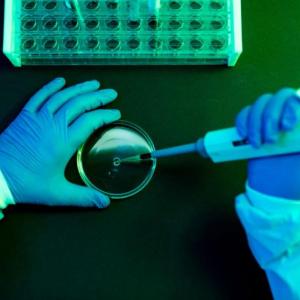researchers working with liquids