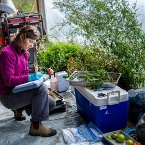 Researcher takes notes near produce and other objects