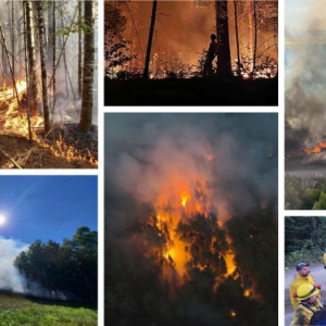 photos of wildfires.