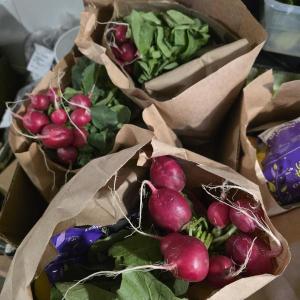 Bags of fresh produce donated by Fresh Off The Farm on a first-come, first-serve basis. (Photo courtesy Melanie Daigle) Bags of fresh produce donated by Fresh Off The Farm on a first-come, first-serve basis. Photo courtesy Melanie Daigle