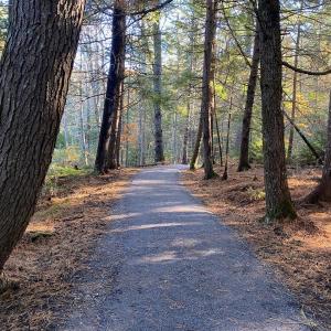 The new accessible trail winds through hemlock-shaded woods near downtown Damariscotta. (Photo courtesy Coastal Rivers Conservation Trust) Wide path through forest area