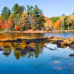 Fernald's Neck Preserve. (Photo by Lynn Luzzi)