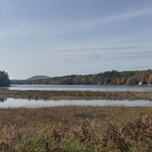 Norton’s Pond