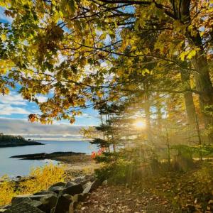 (Photo courtesy Beth Davis) (Photo courtesy Beth Davis)