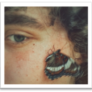 Frannie by Finlay Donaghy. (Photo courtesy Gibbs Library)