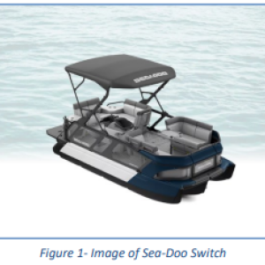 Photo of a Sea-Doo Switch