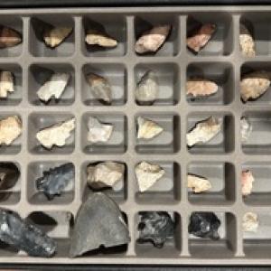 Small compartments of a box filled with items