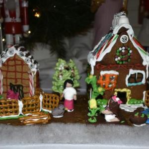 A. Faulstich - Best Youth Entry: Ginger Dew Valley