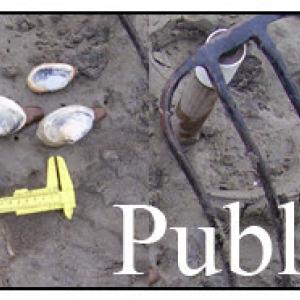 DMR Public Health banner