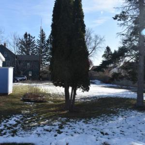 (Photo by Sarah Thompson)