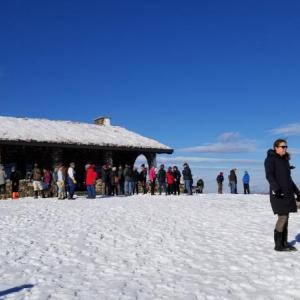 winter scene at Beech Hill Preserve