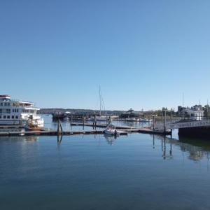 (Photo by Sarah Thompson)