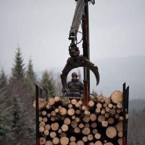 a man operates a logging machine to stack cut pieces on the back of a truck
