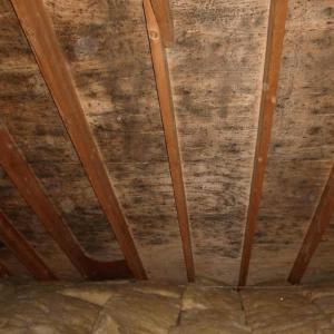 Mold on Underside of Roof